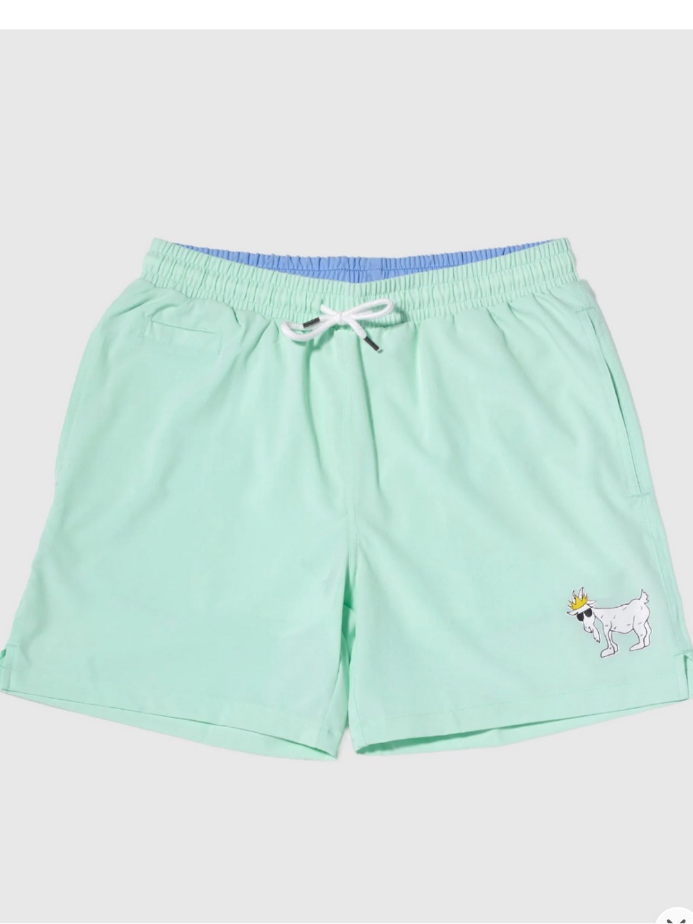 GOAT USA S Men's Mint Green Swim Trunks GUC